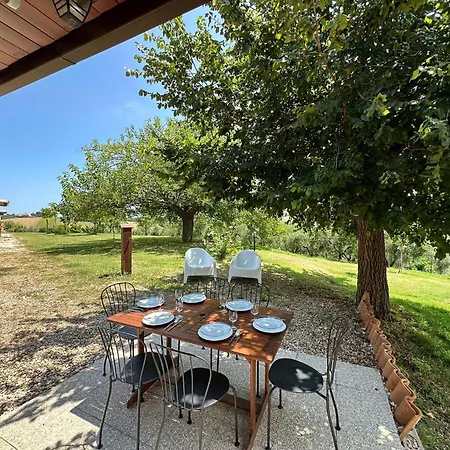 The Mimosa In Historic With Pool And Air Cond In