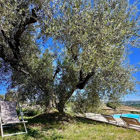The Mimosa With Pool And Ac In Holiday home