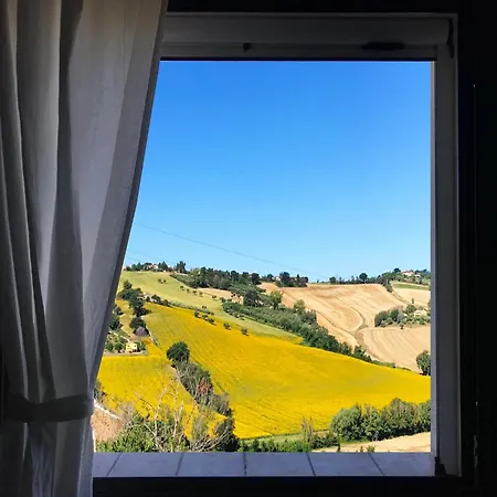 The Mimosa In Historic With Pool And Air Cond In Lejlighed Senigallia