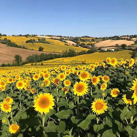 The Mimosa In Historic With Pool And Air Cond In