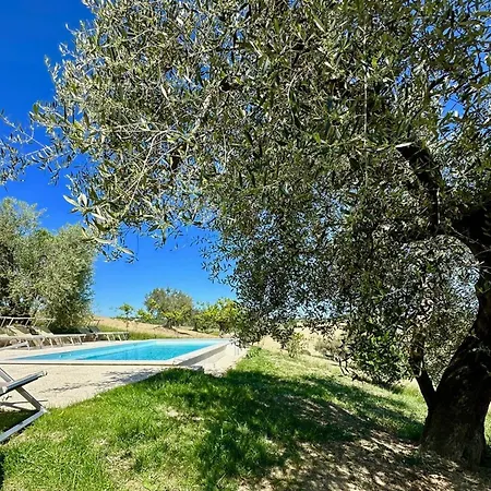 Lejlighed The Mimosa In Historic With Pool And Air Cond In Senigallia