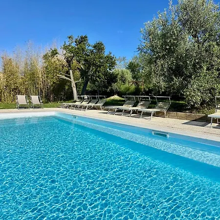 The Mimosa With Pool And Ac In * Senigallia